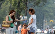 Khách quốc tế đến TP.HCM tăng dịp cuối năm