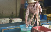 Xem xét hình sự vụ dùng hóa chất chế biến mỡ bẩn