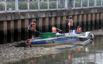 Khắc phục tình trạng cá chết trên kênh Nhiêu Lộc - Thị Nghè