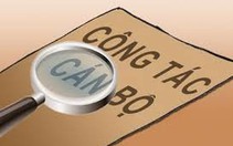 Thanh Hóa bổ nhiệm hàng chục phó phòng vượt quy định