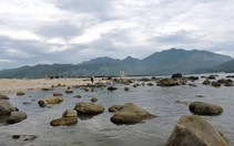 Khám phá rạn Nam Ô hoang sơ