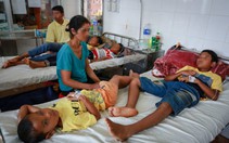 Liên tục ngộ độc do ăn thịt cóc, nấm