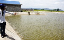 Môn học sinh tồn