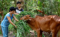 Hai mẹ con​ vượt qua khó khăn của số phận