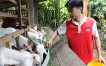Đánh thức khởi nghiệp tuổi trẻ xứ dừa