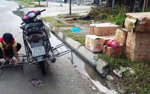 Đinh tặc bủa vây đại lộ Thăng Long