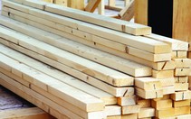 Chồng ca sĩ Thu Minh hứa giải quyết công nợ trong hai tuần tới