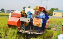 Công an xã trả lại tiền “bảo lãnh” máy gặt lúa
