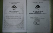 Làm giả giấy tờ, lừa bán nhà người khác