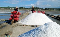 Nơi giám đốc nhận lương  1 triệu đồng/năm