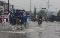 Đường Kha Vạn Cân còn ngập đến sáng