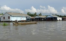 ​Làng bè Châu Đốc điêu đứng vì cá rớt giá