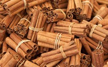 ​Bảo hộ chỉ dẫn địa lý cho quế Thường Xuân