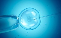 Tranh cãi về khái niệm "độc thân là khuyết tật"