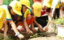 Một ngày tập làm vườn của trẻ mầm non
