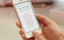 ​Sinh trắc học - Công nghệ bảo mật thay thế mật mã và mã pin