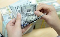 ​Ngân hàng Nhà nước gỡ khó cho doanh nghiệp về vay ngoại tệ