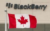 Bỏ smartphone, Blackberry hướng sang công nghệ xe tự lái