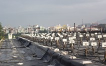 ​Xử lý dioxin, bàn giao đất cho sân bay Đà Nẵng