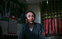 Thẩm phán và... án oan