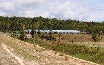 Chính phủ đồng ý cho Hòa Phát làm dự án thép Dung Quất
