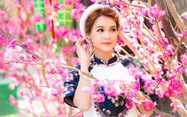 Sam phủ sóng truyền hình Tết Đinh Dậu