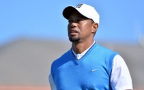 ​Tiger Woods quyết tâm tìm lại phong độ đỉnh cao