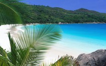 ​Côn Đảo là một trong các bãi biển vắng đẹp nhất thế giới
