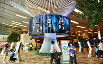 ​Changi giữ vững danh hiệu sân bay tốt nhất thế giới 5 năm liên tiếp