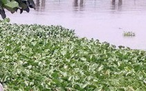 Bé gái lớp 2 bị siết cổ, dìm xác dưới ao