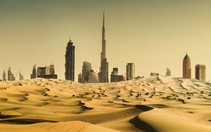 UAE tính kéo băng Nam Cực về đối phó khô hạn