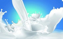 Trẻ em TP.HCM sẽ được uống sữa tươi mỗi ngày đi học