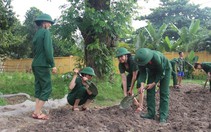 Quân trường này, chẳng muốn rời xa...