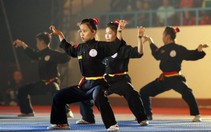 Liên đoàn võ thuật cổ truyền VN xin lỗi, thu hồi văn bản vì lạm quyền