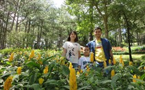 Gia đình là nơi bình yên