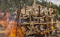 Buôn lậu ngà voi, một người Việt bị bắt ở sân bay Malaysia
