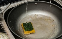 50.000 tỉ vi khuẩn trong... miếng rửa chén