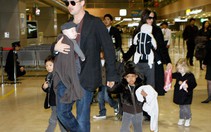 Brad Pitt và Jolie hợp tác nuôi dạy con