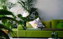 ​Bắt kịp xu hướng với nội thất màu xanh lá cây