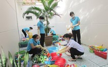 ​Hơn 43.000 trường hợp mắc bệnh tay chân miệng trên toàn quốc