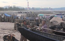 Cảnh cáo, khiển trách 5 cán bộ liên quan Formosa