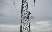 Hiểm họa diều bay bên lưới điện