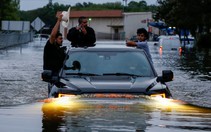 Chống siêu bão Harvey, dân Việt chỉ cần thùng mì
