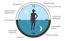Giải Nobel Y sinh học 2017: Một nhắc nhở về “duyên khởi”