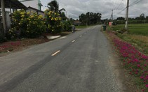 Trong cơn sốt ảo của đất nền