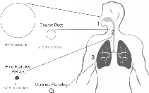 Hung thủ chính: nhiệt điện than