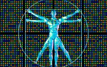 Nghiên cứu mới nhất về đồng tính luyến ái:  Không có “gay gene”