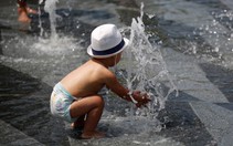 Nóng kỷ lục tại châu Âu do biến đổi khí hậu