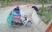 Shipper chạy té khói vì được 'Cậu Vàng' của chủ nhà chào hỏi quá nhiệt tình