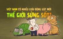 Thế giới sửng sốt khi phát hiện Việt Nam có nhiều loài động vật mới